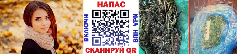 Каннабис Amnesia  Кологрив 
